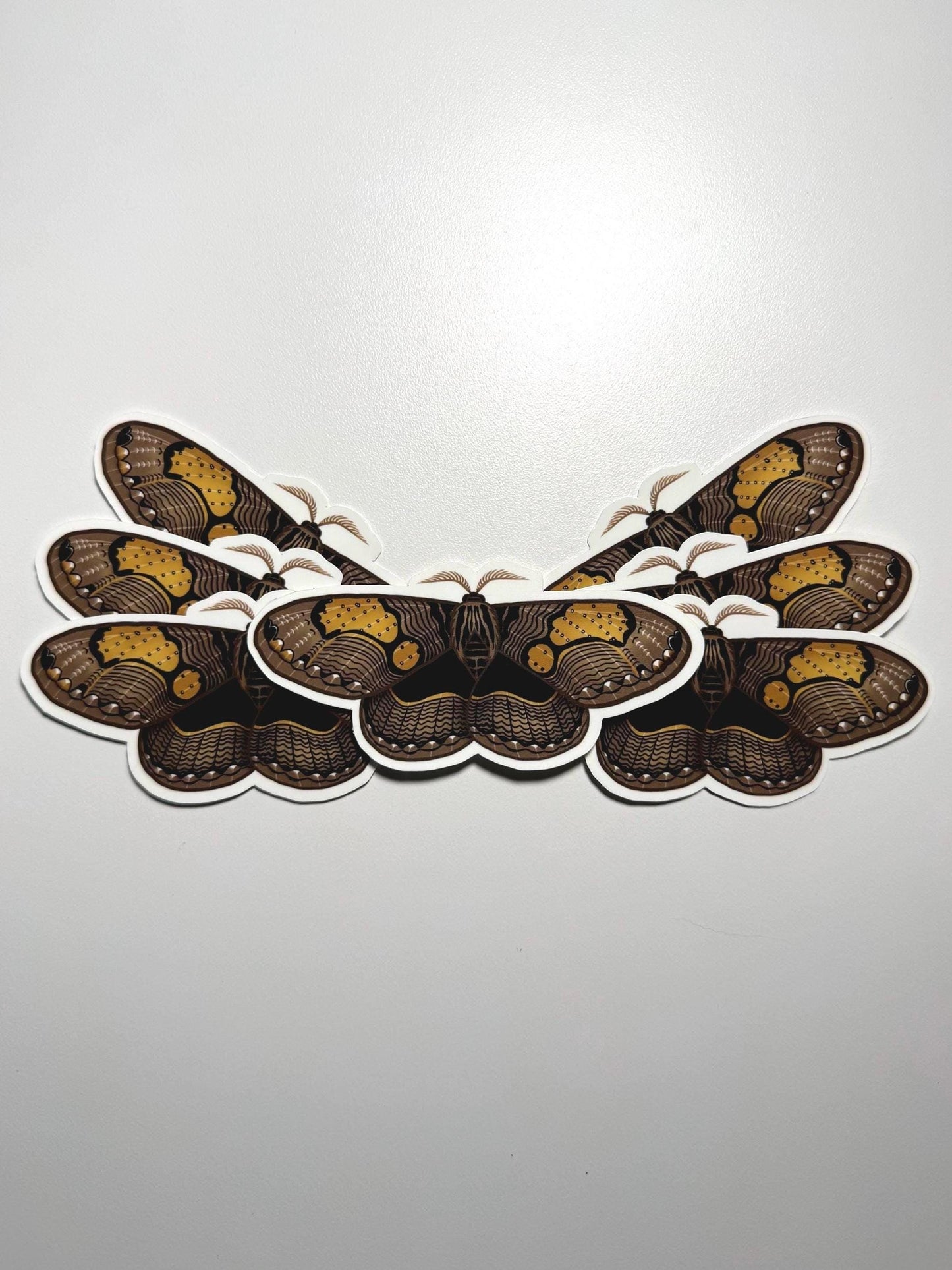 Owl Moth Sticker