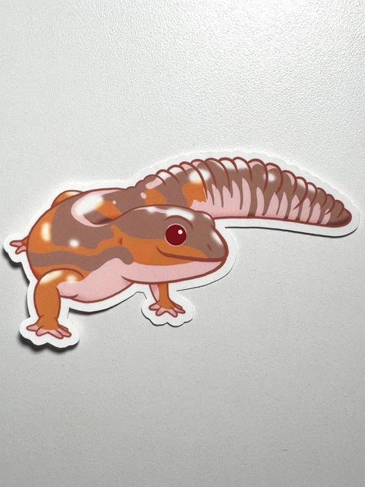 Albino African Fat-Tailed Gecko Sticker