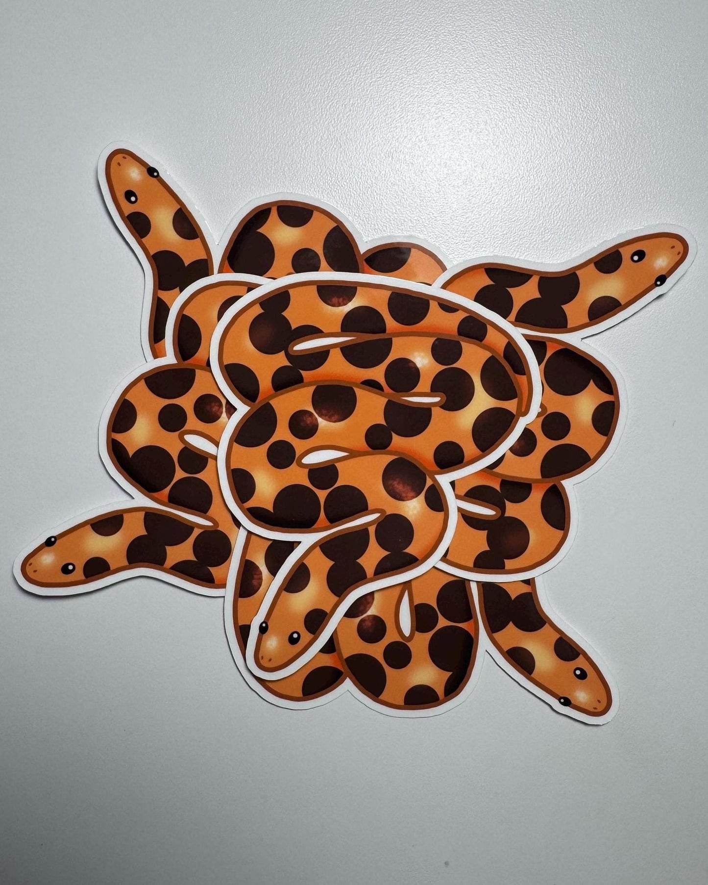 Kenyan Sand Boa Sticker