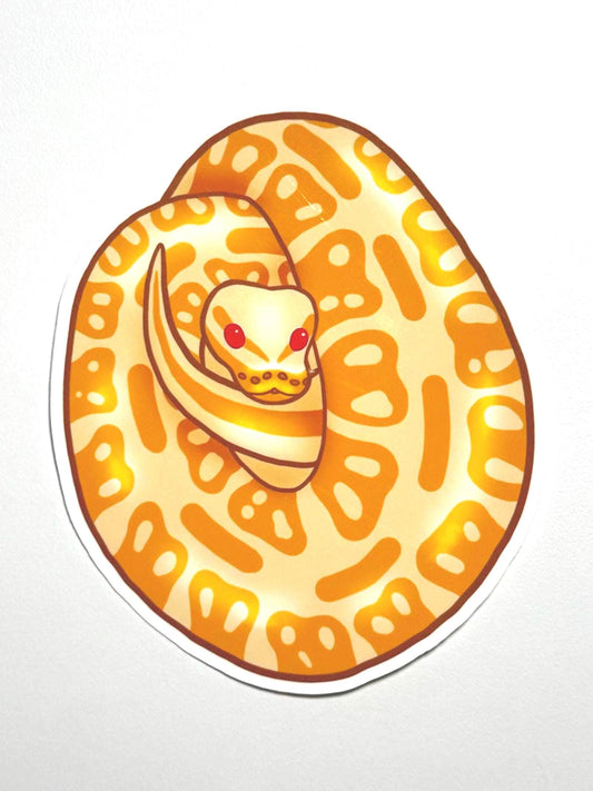 Albino Ball Python Sticker