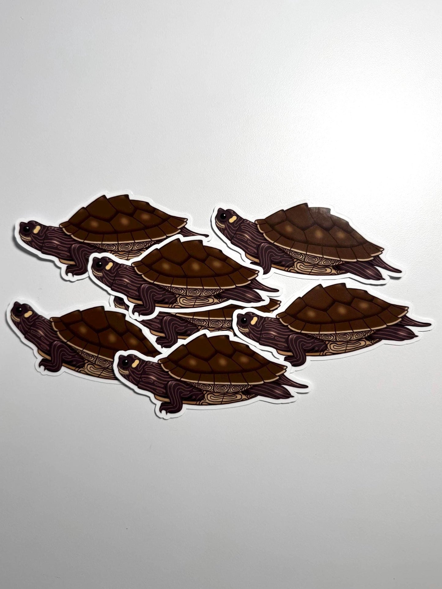 Mississippi Map Turtle Sticker