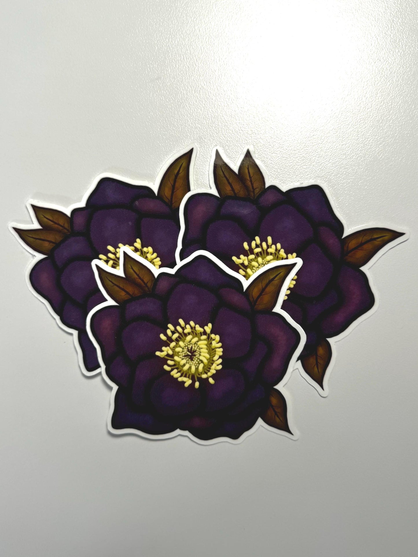 Black Hellebore Sticker