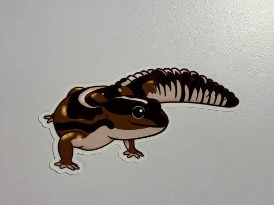 African Fat-Tailed Gecko Sticker
