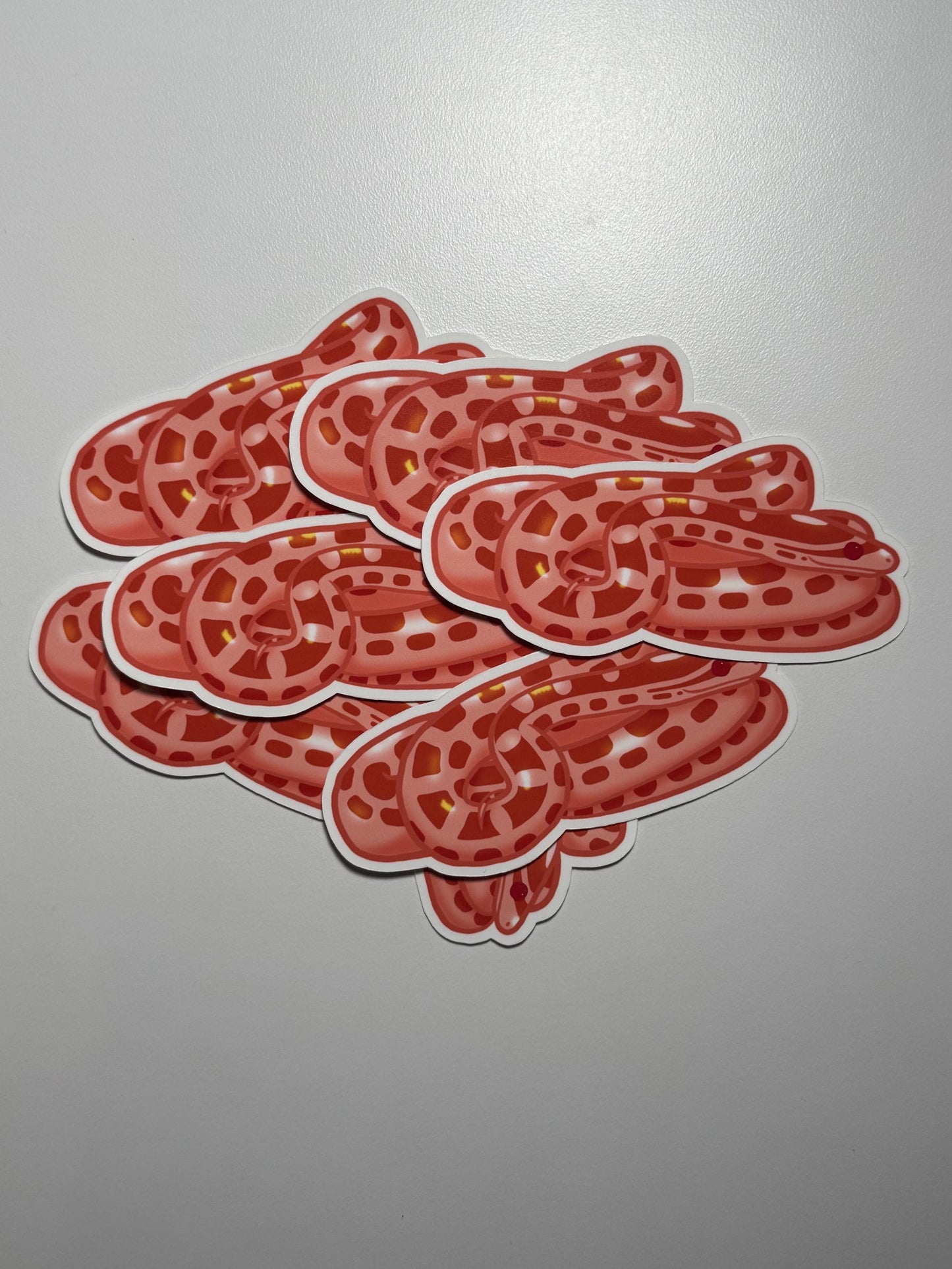 Albino Corn Snake Sticker