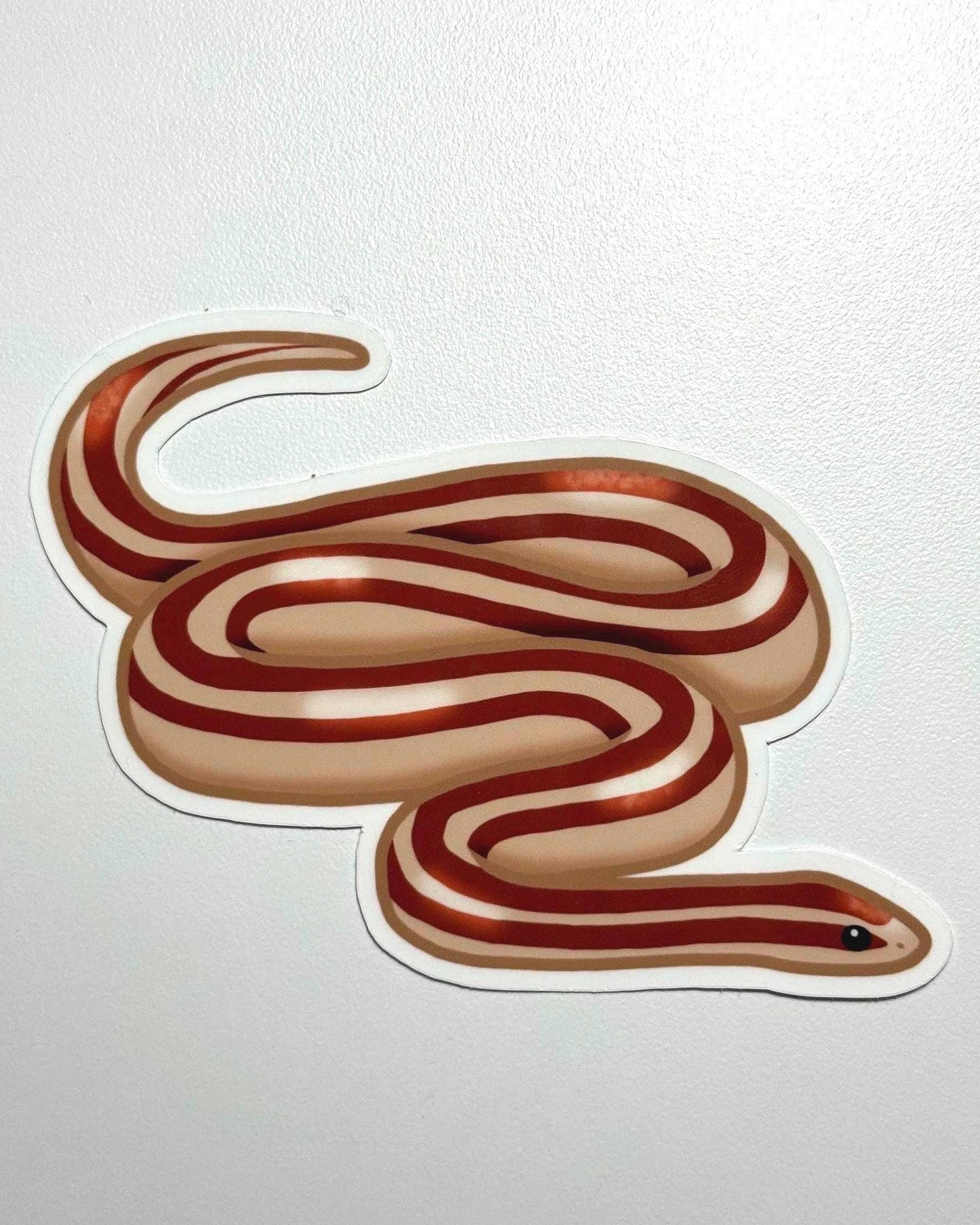 Rosy Boa Sticker