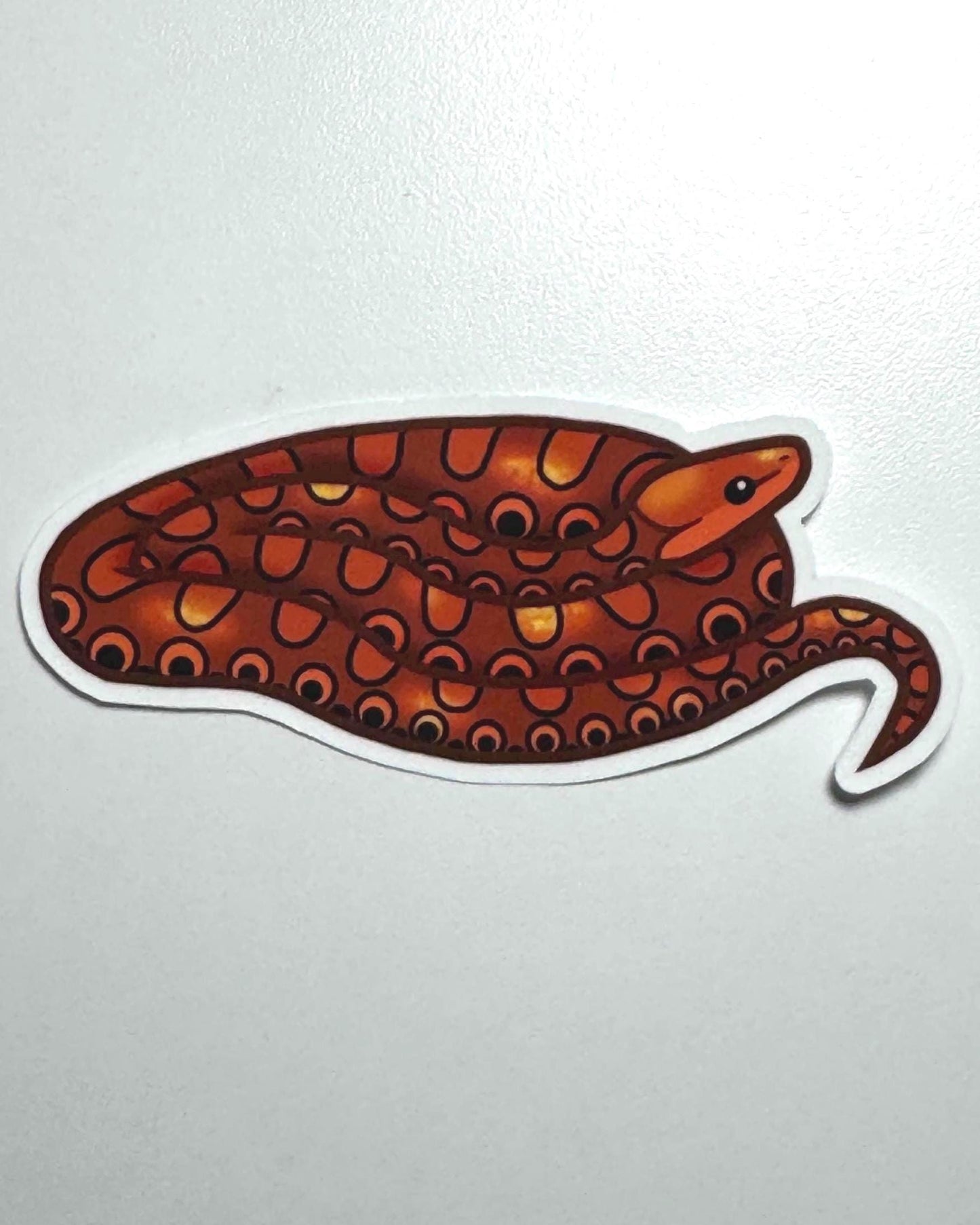 Rainbow Boa Sticker