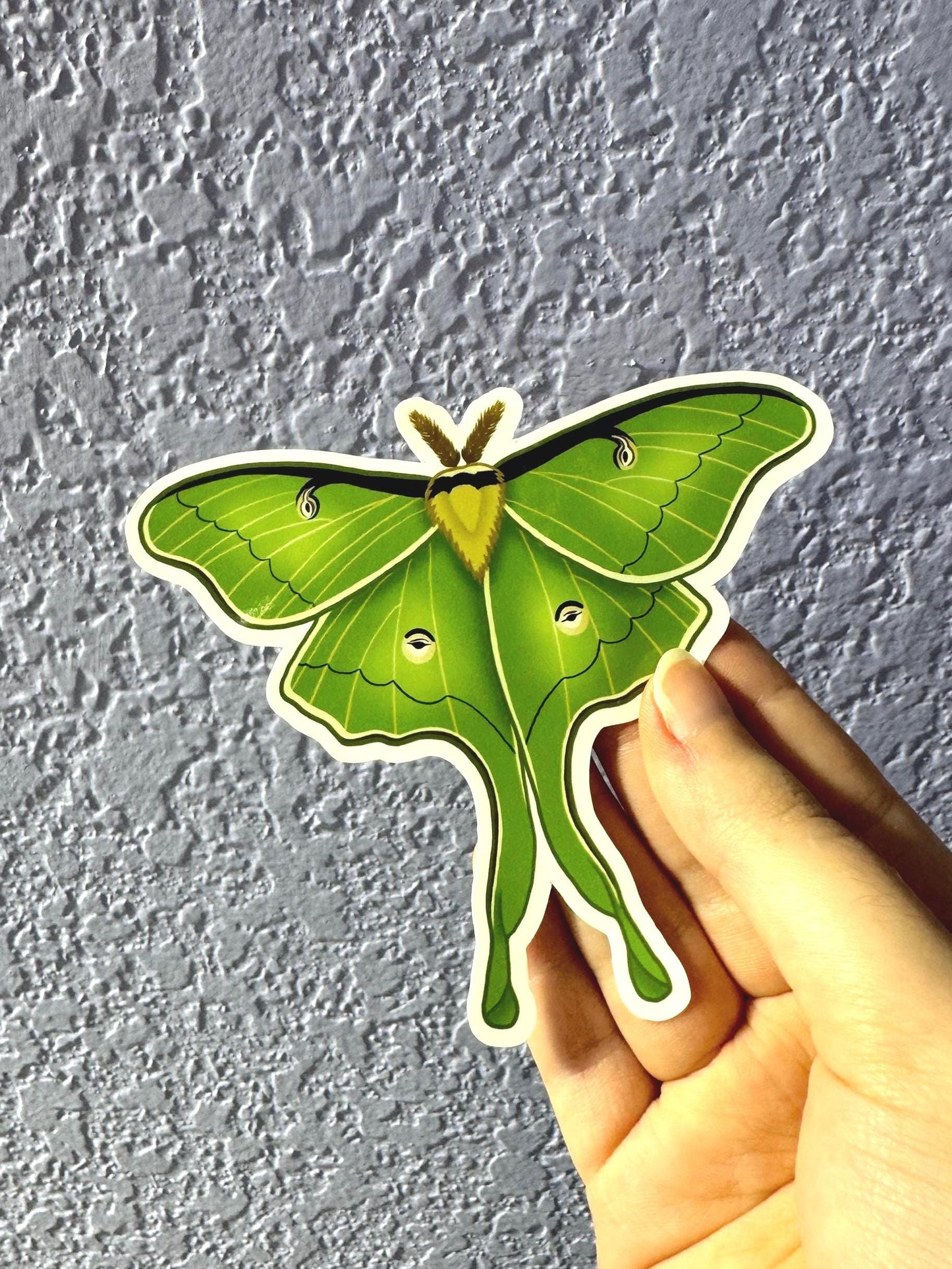 Luna Moth Sticker