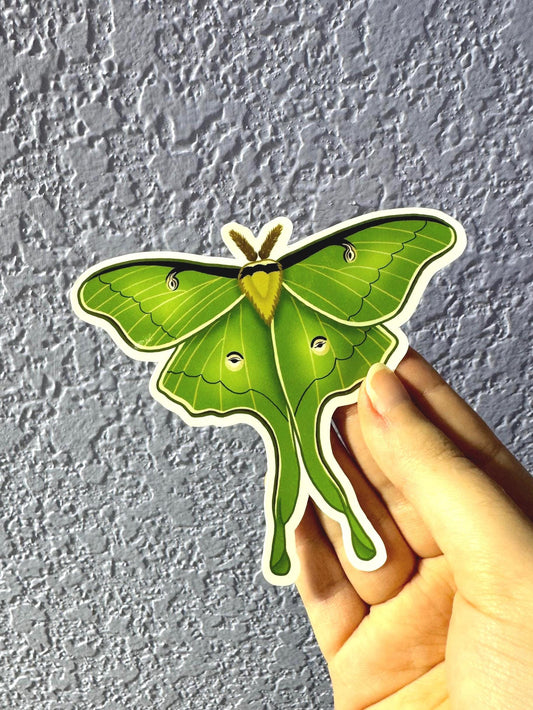 Luna Moth Sticker