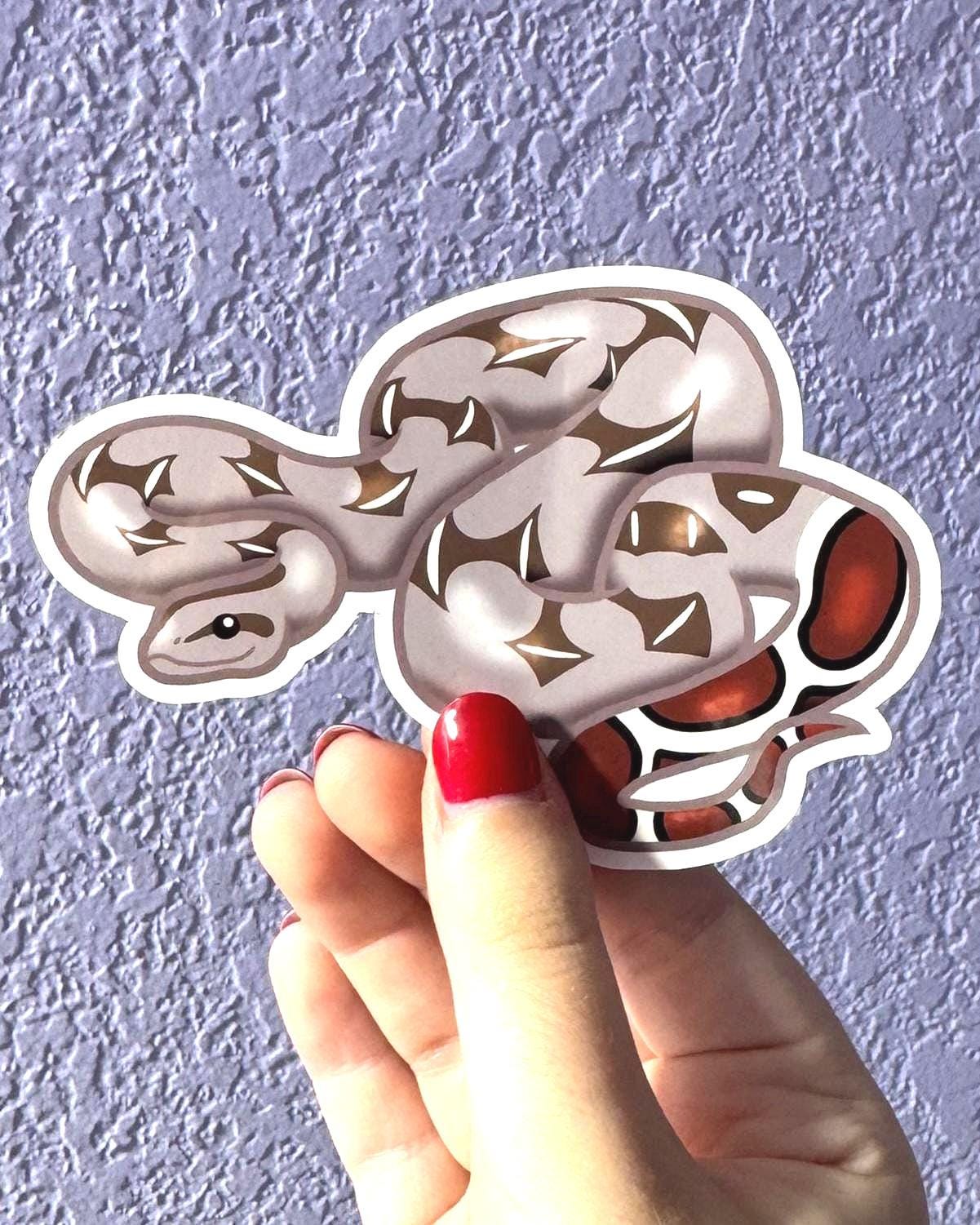 Red-tailed Boa Sticker