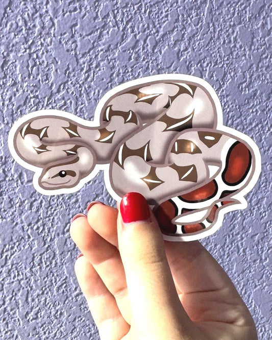 Red-tailed Boa Sticker