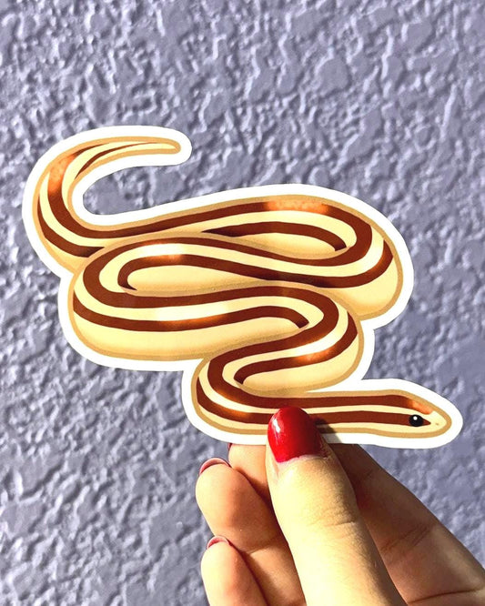Rosy Boa Sticker