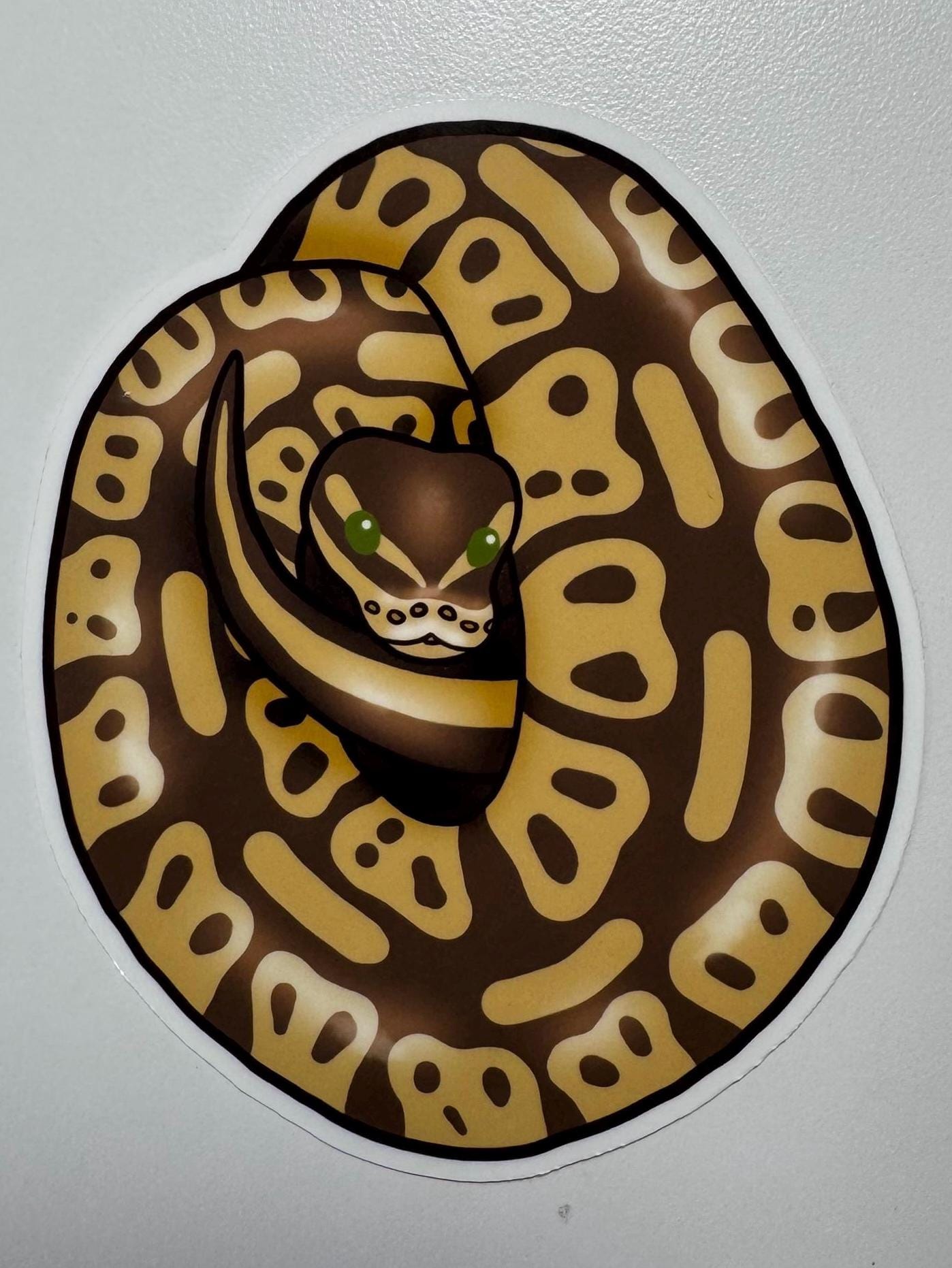 Lesser Ball Python Sticker