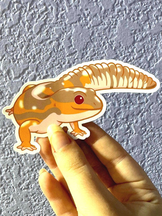 Albino African Fat-Tailed Gecko Sticker