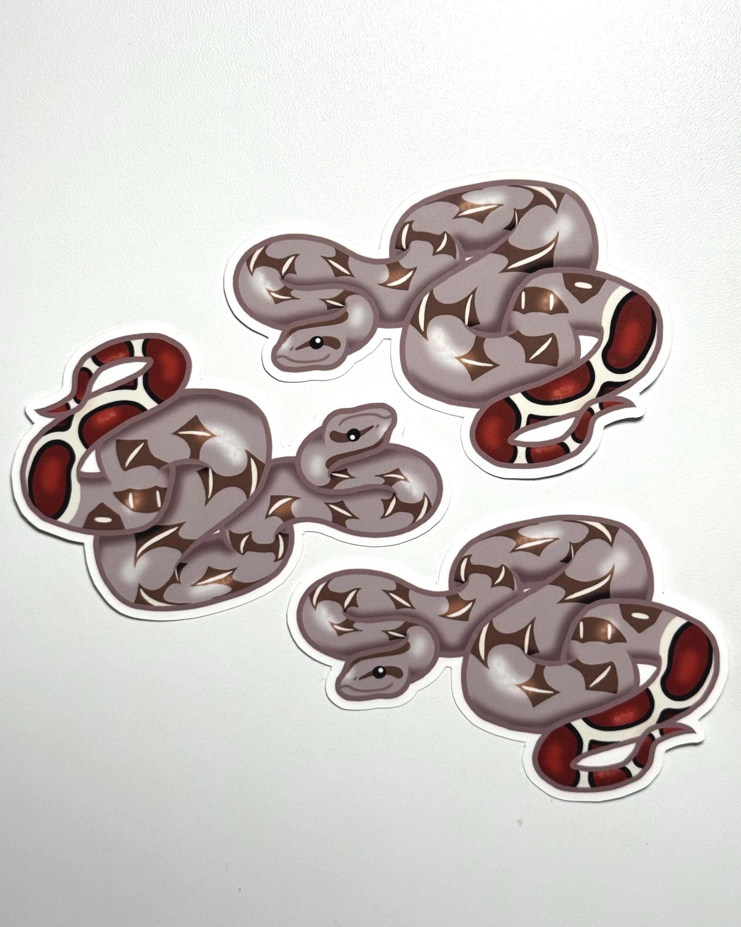 Red-tailed Boa Sticker