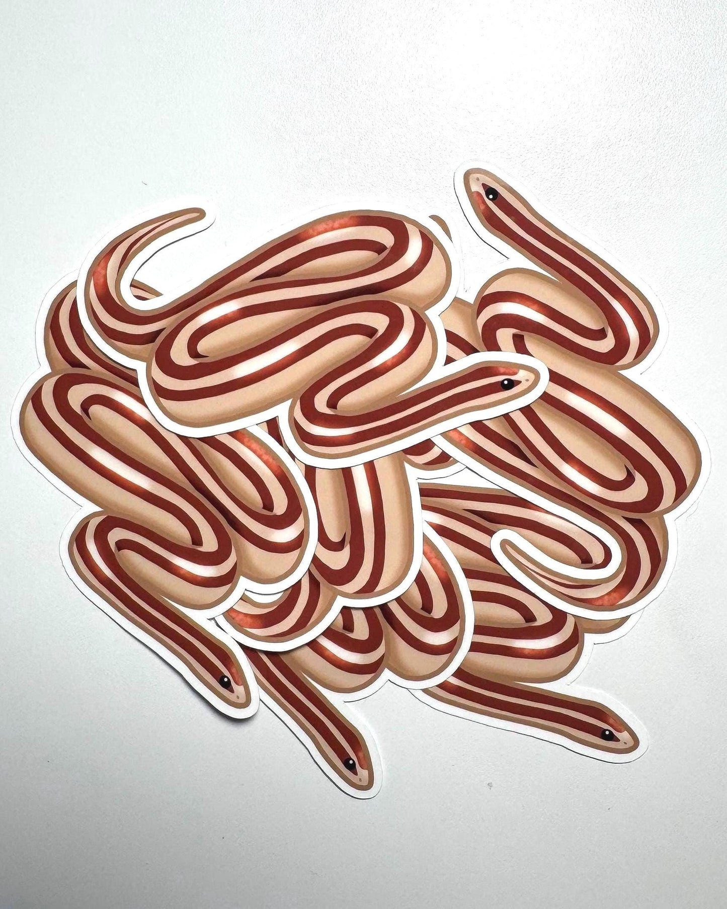 Rosy Boa Sticker