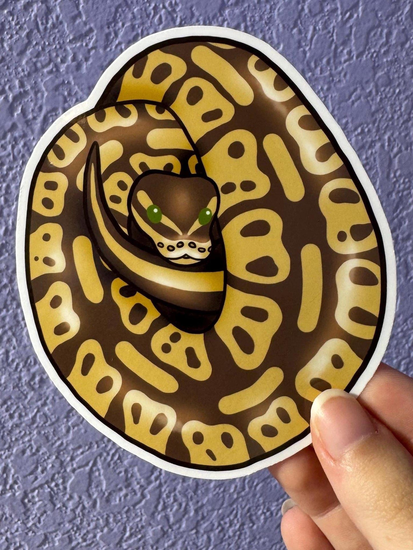 Lesser Ball Python Sticker
