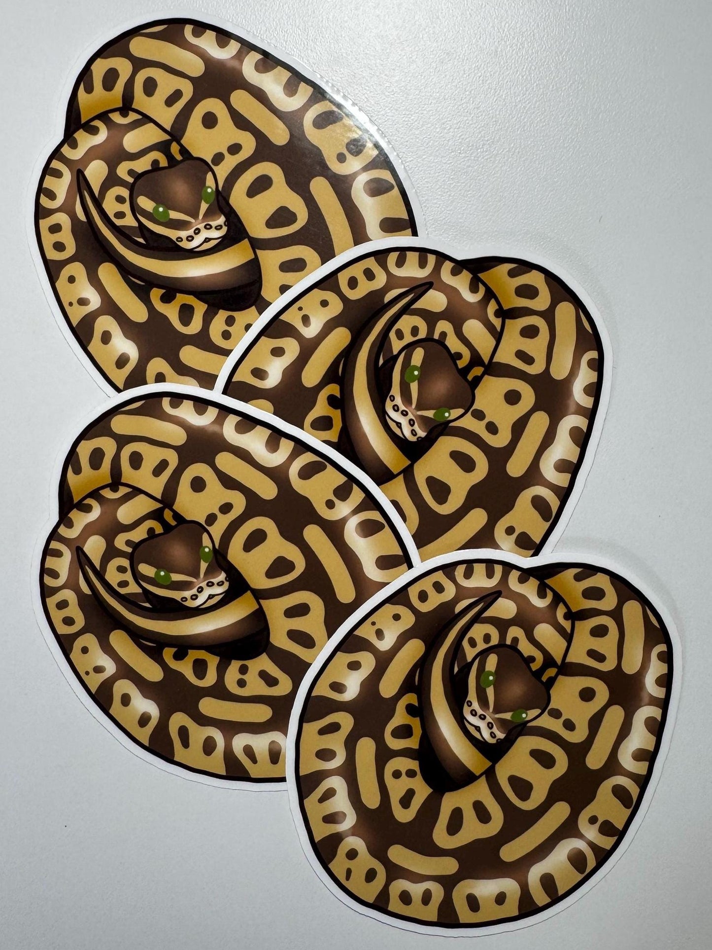 Lesser Ball Python Sticker