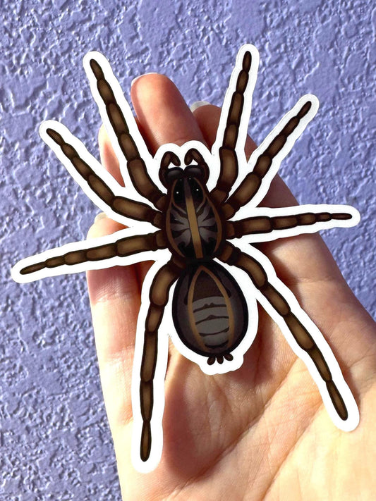 Wolf Spider Sticker