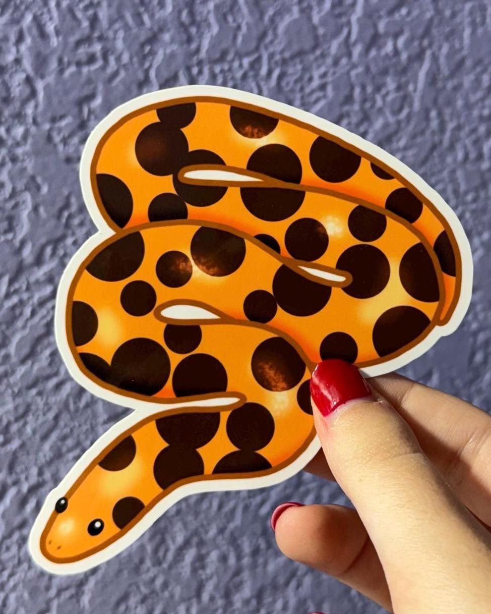 Kenyan Sand Boa Sticker