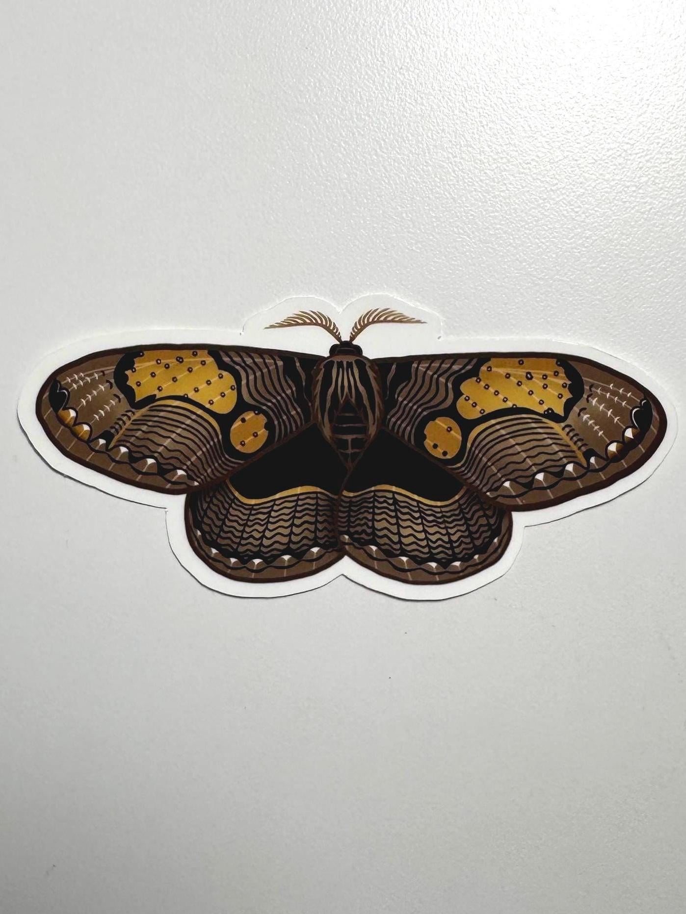 Owl Moth Sticker