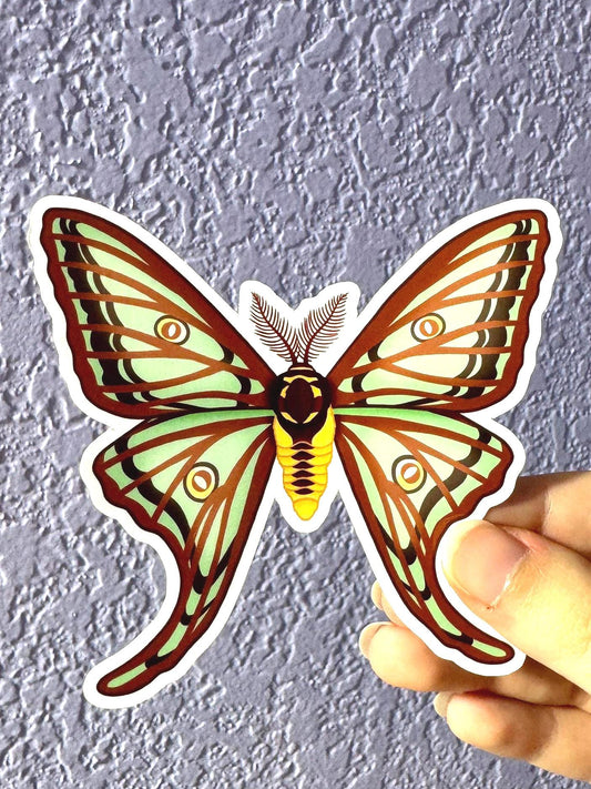 Spanish Moon Moth Sticker