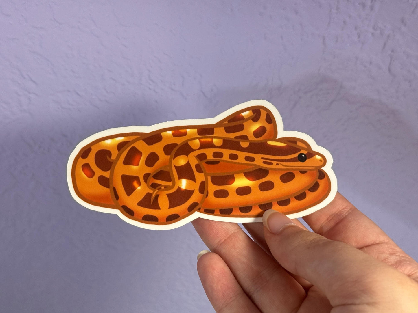 Corn Snake Sticker
