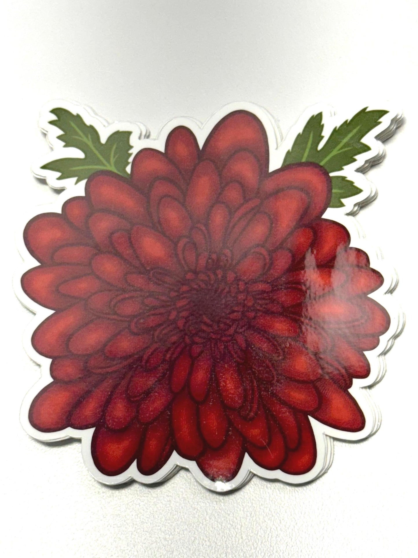 Chrysanthemum Sticker