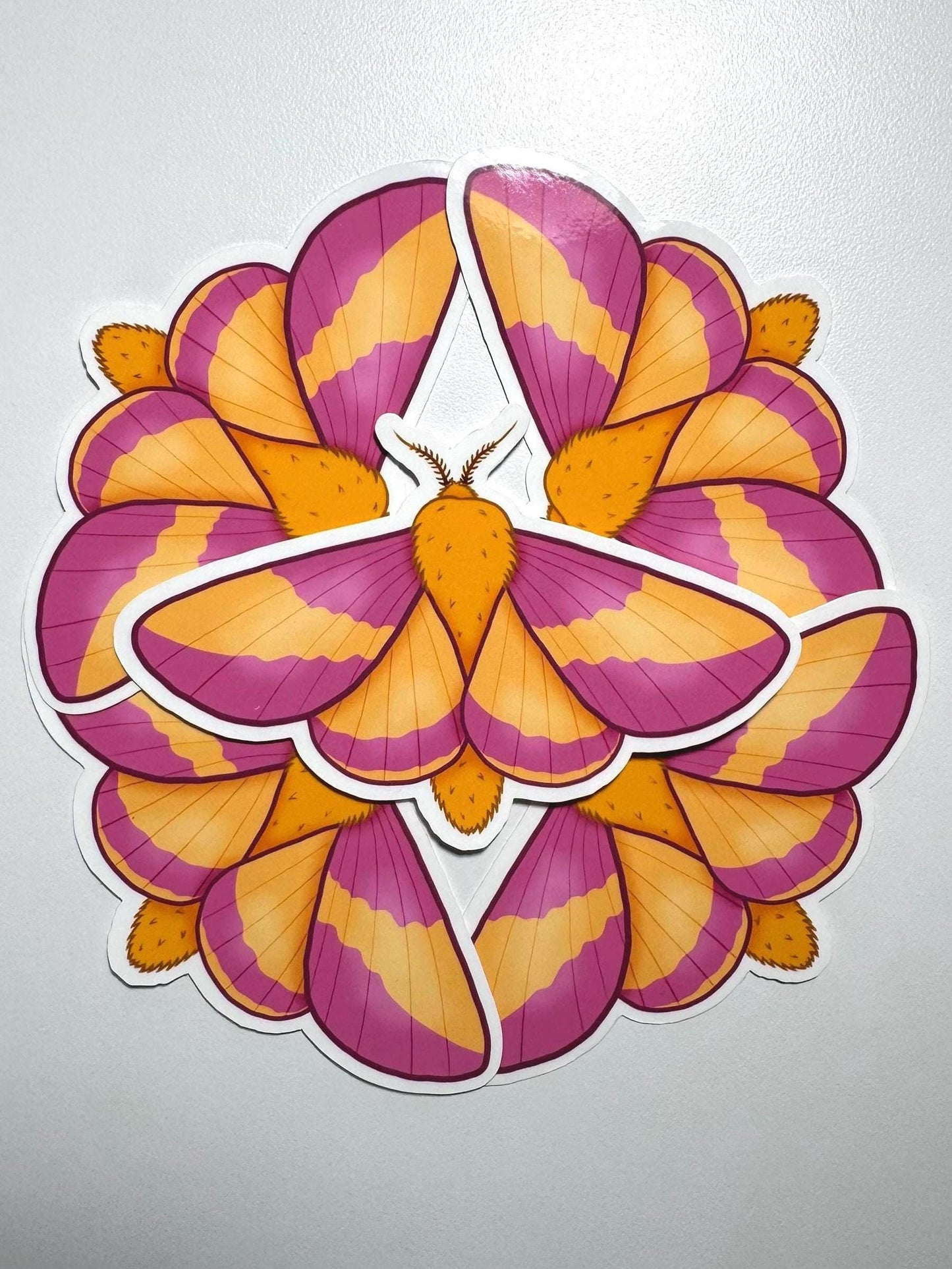 Rosy Maple Moth Sticker