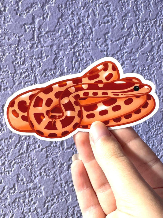 Hypo Corn Snake Sticker