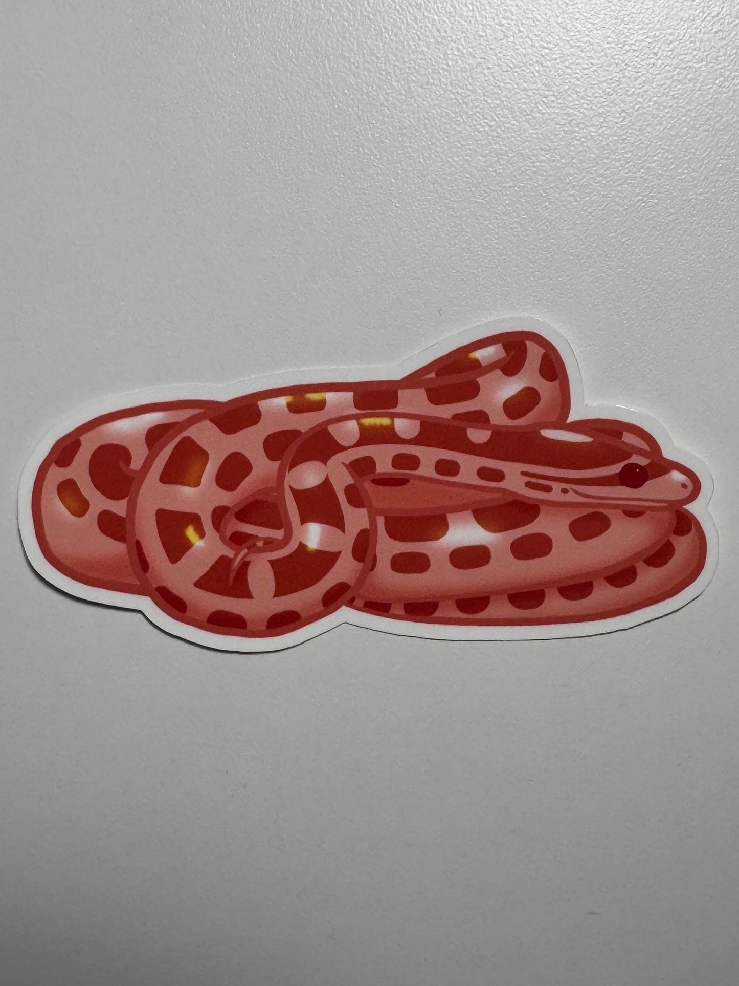 Albino Corn Snake Sticker