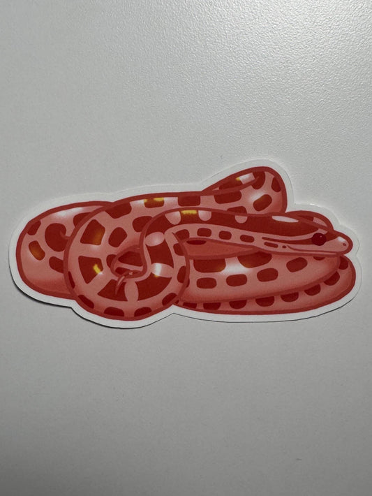 Albino Corn Snake Sticker