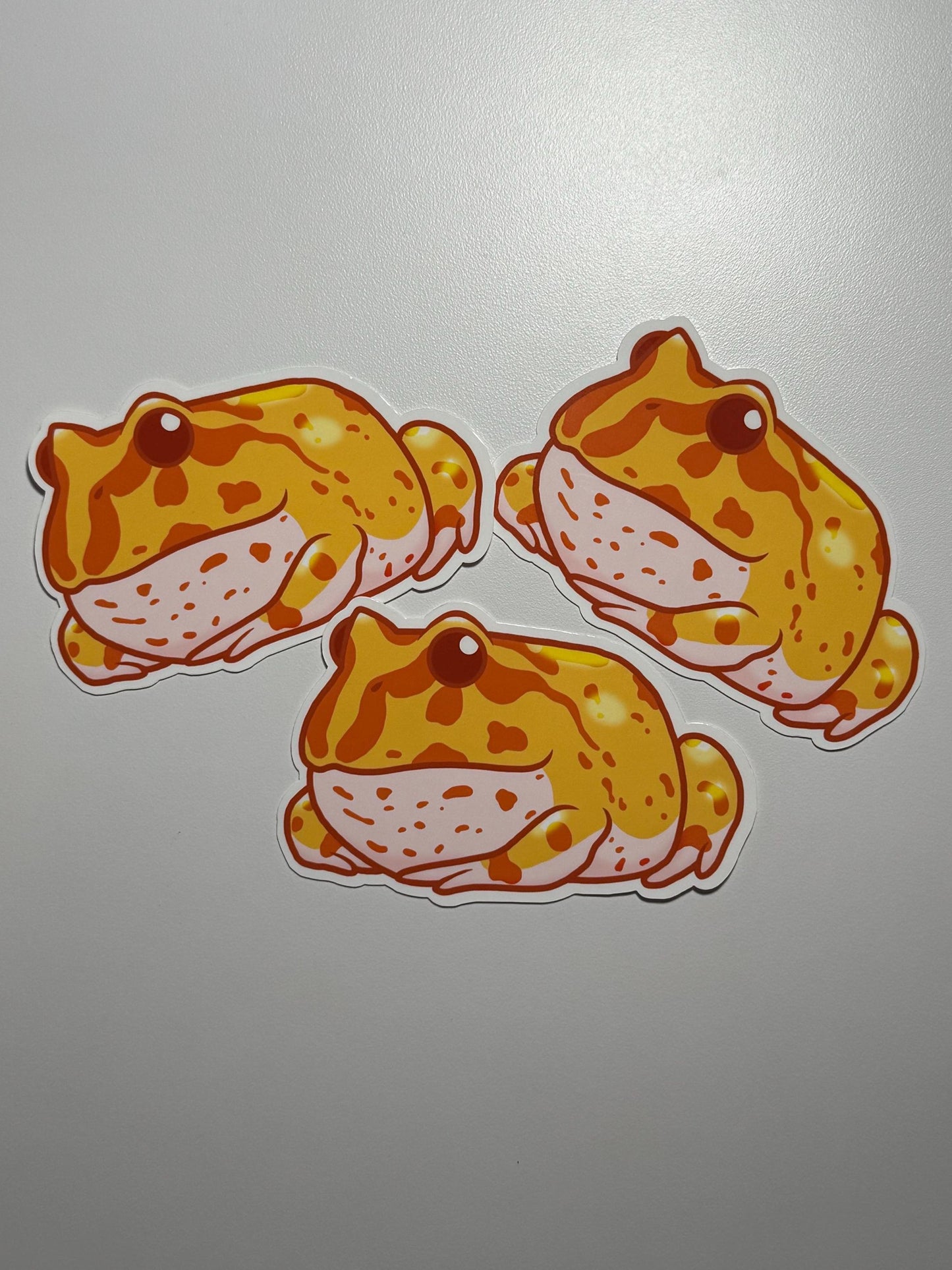 Albino Pacman Frog Sticker