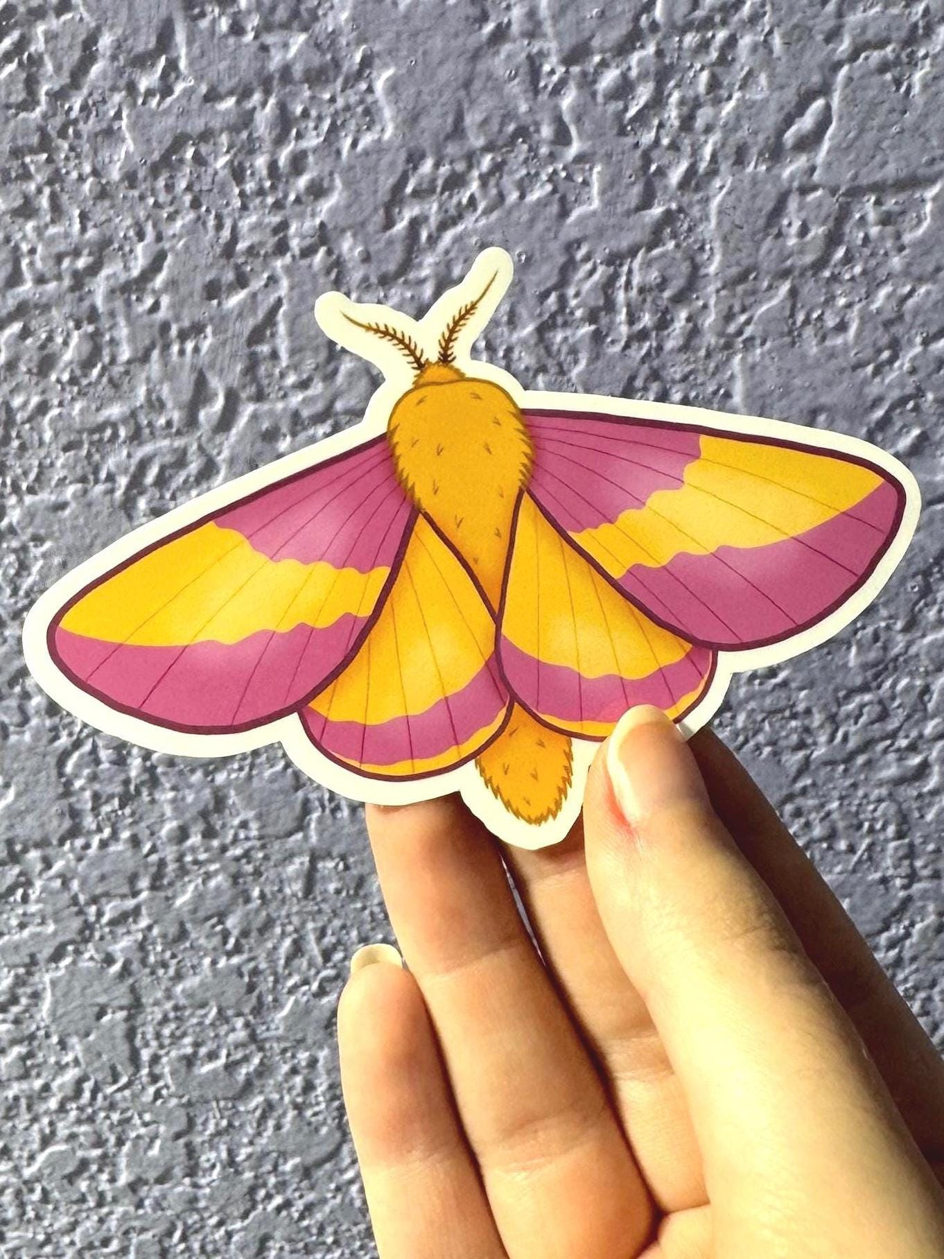Rosy Maple Moth Sticker