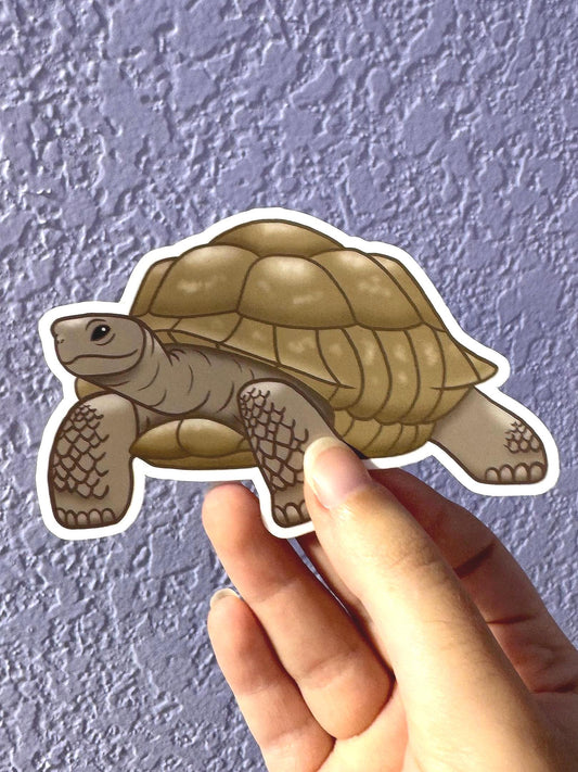 Sulcata Tortoise Sticker