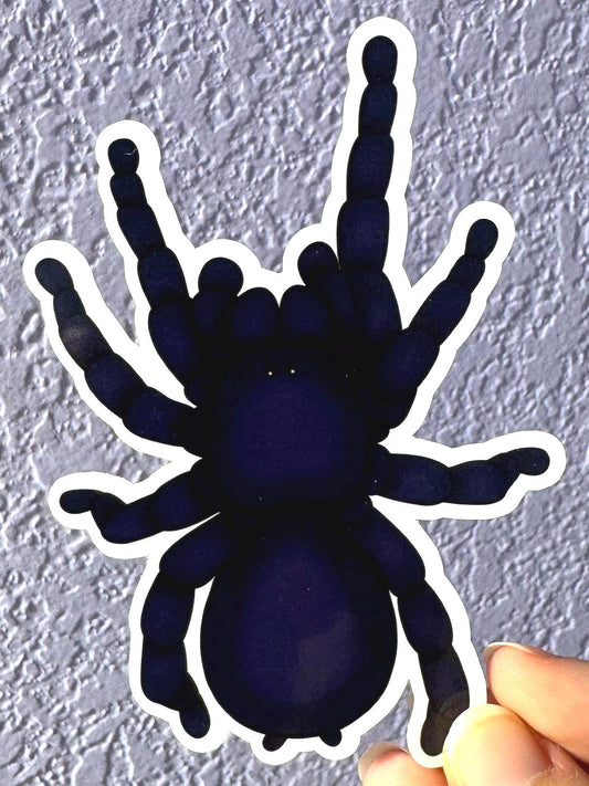 Brazilian Black Tarantula Sticker