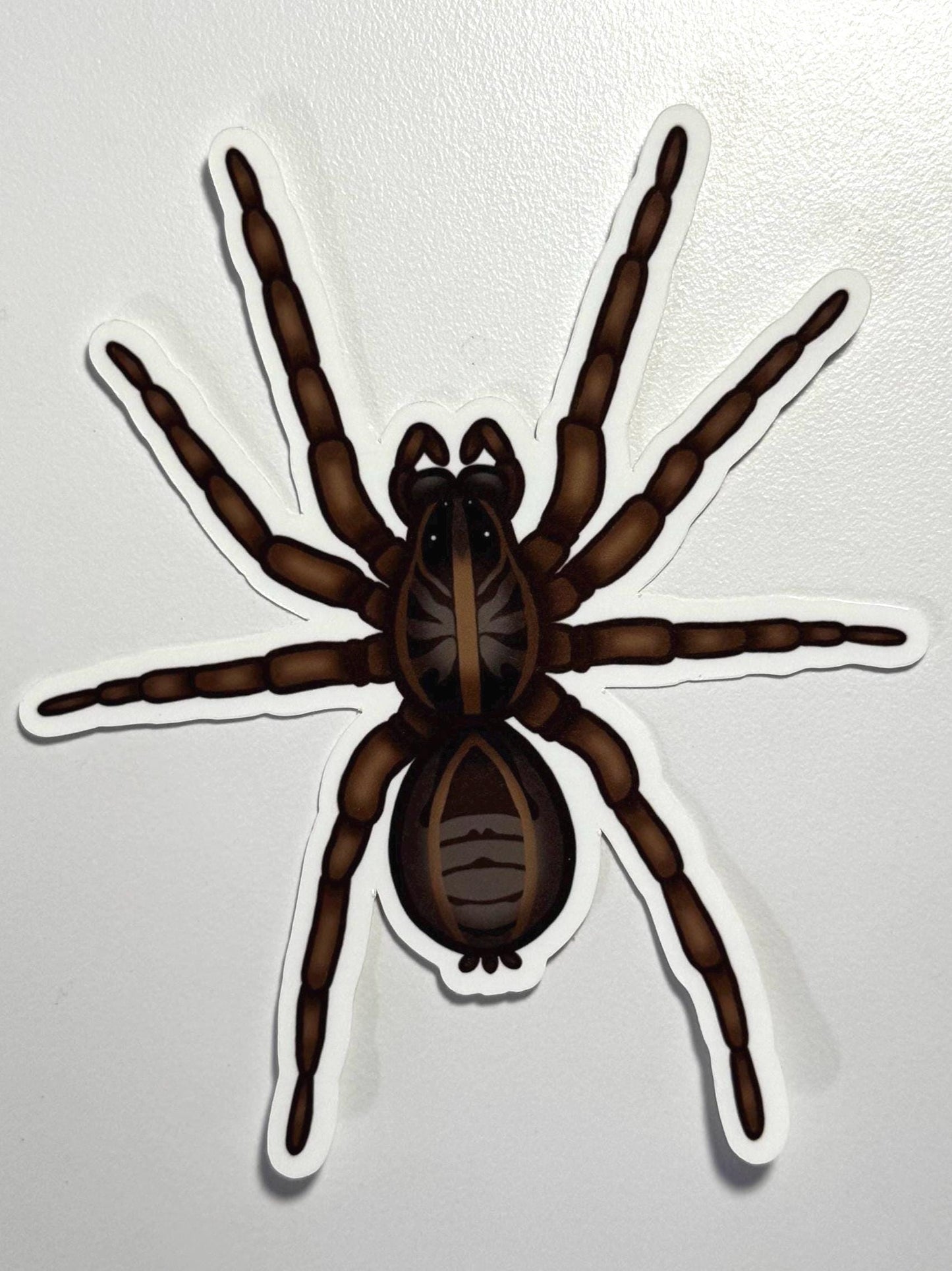 Wolf Spider Sticker