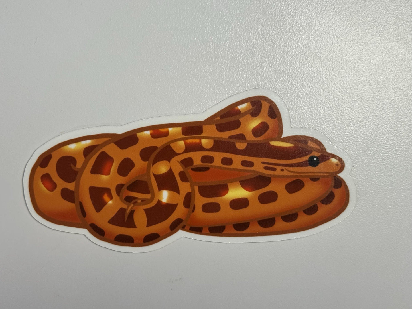 Corn Snake Sticker
