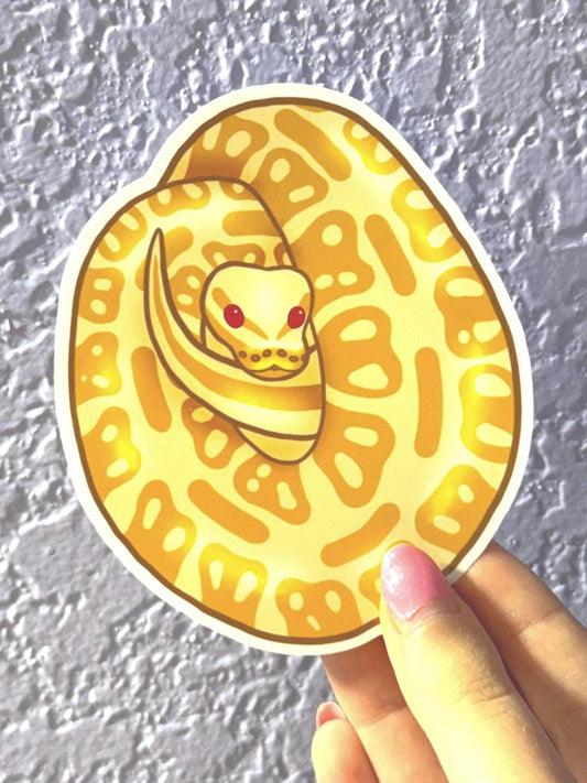 Albino Ball Python Sticker