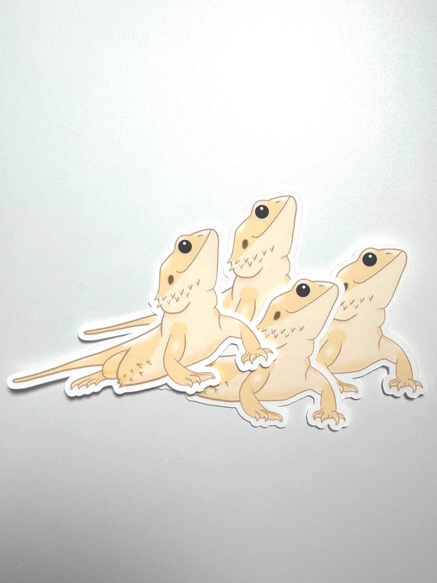 Witblits Bearded Dragon Sticker