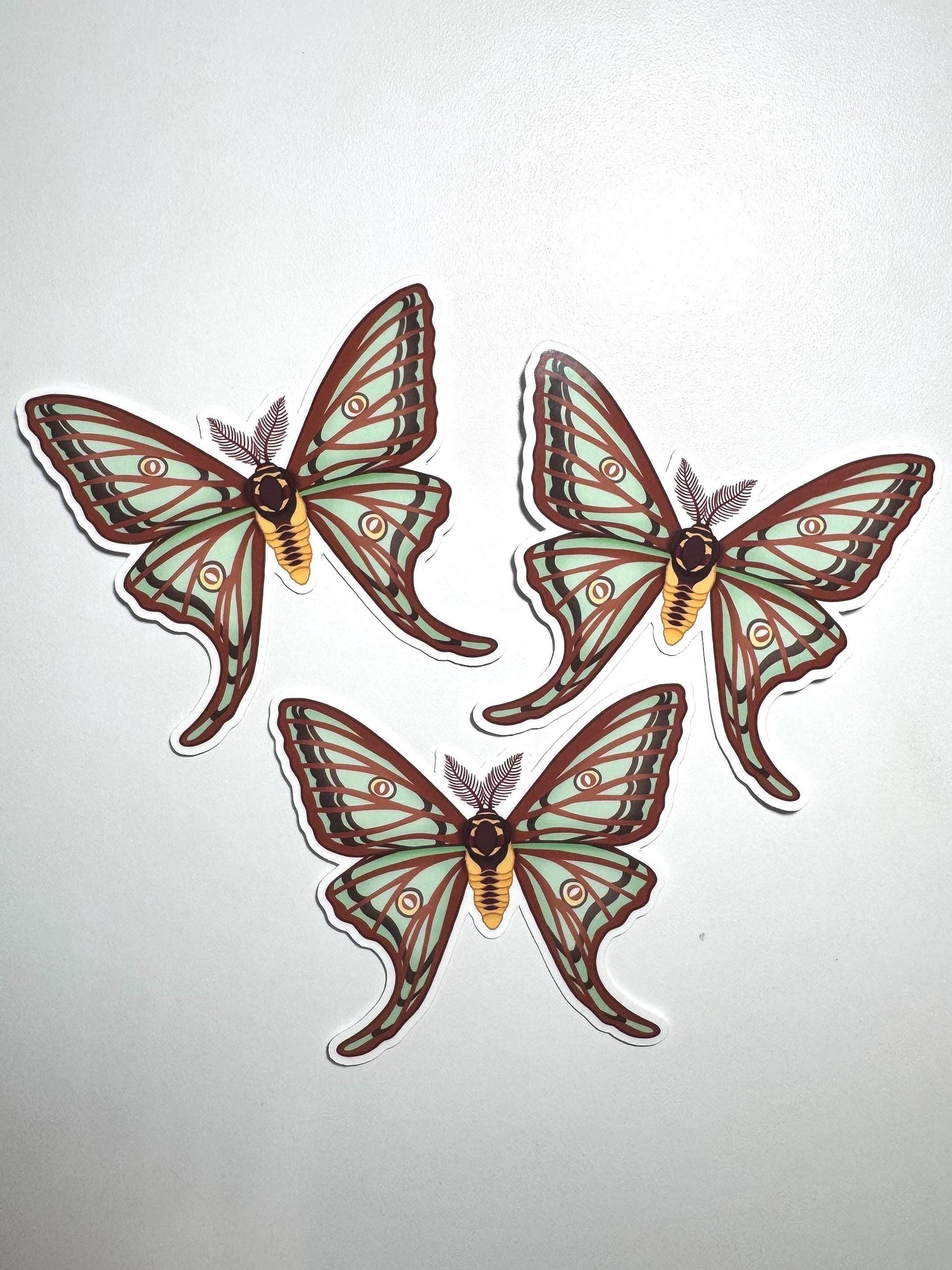 Spanish Moon Moth Sticker