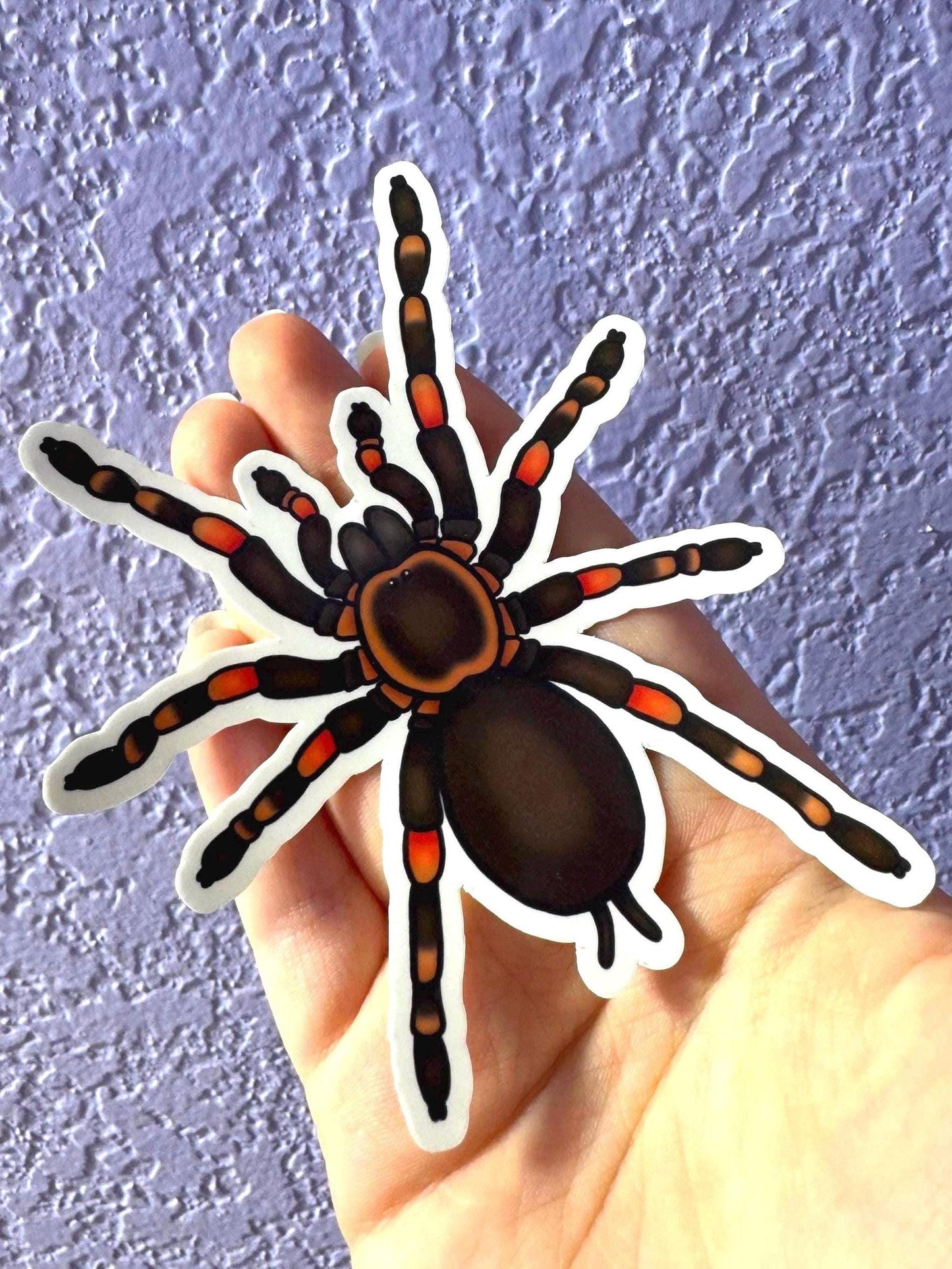 Mexican Red Knee Tarantula Sticker