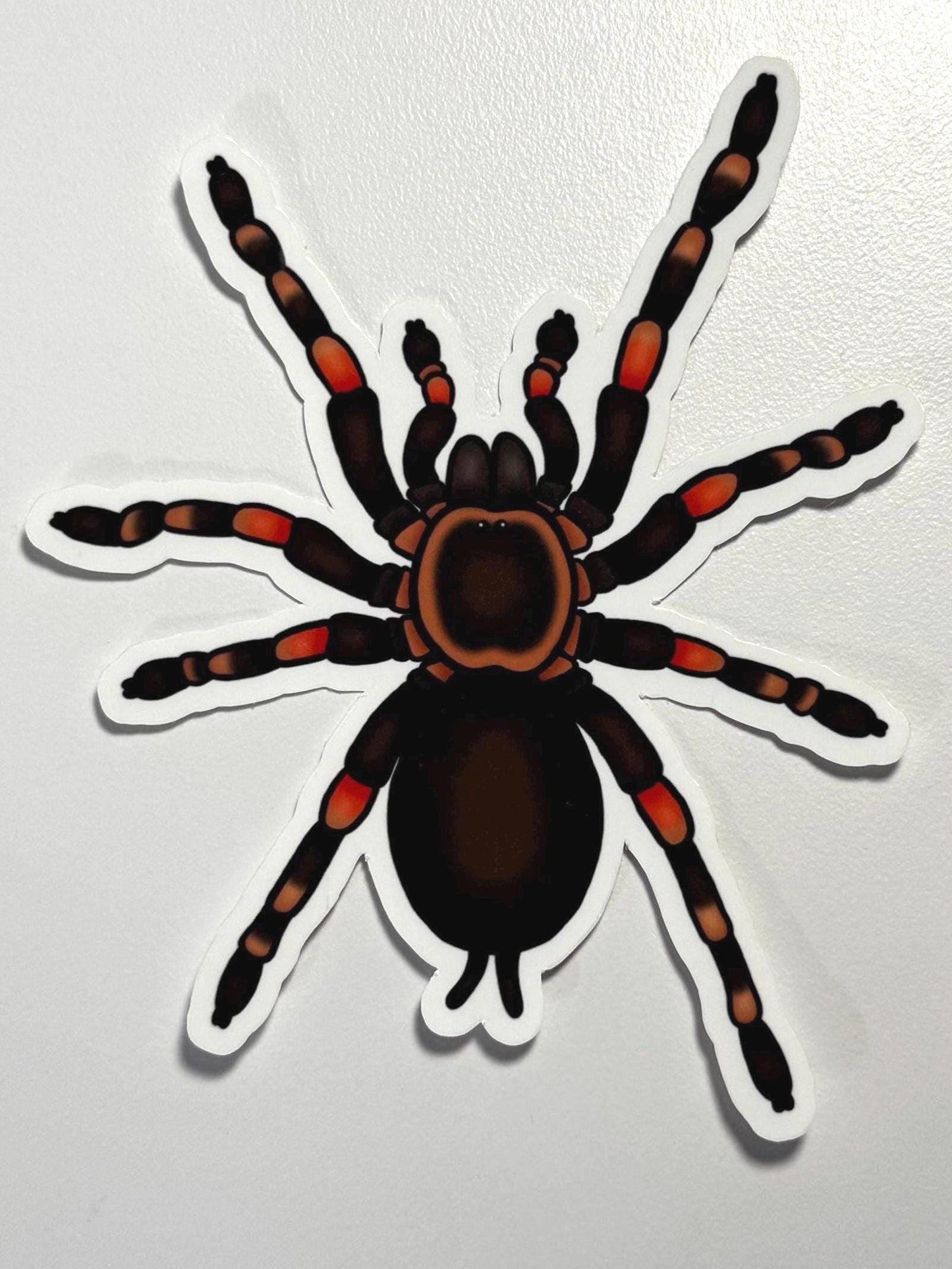 Mexican Red Knee Tarantula Sticker