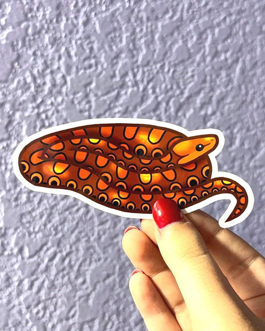 Rainbow Boa Sticker