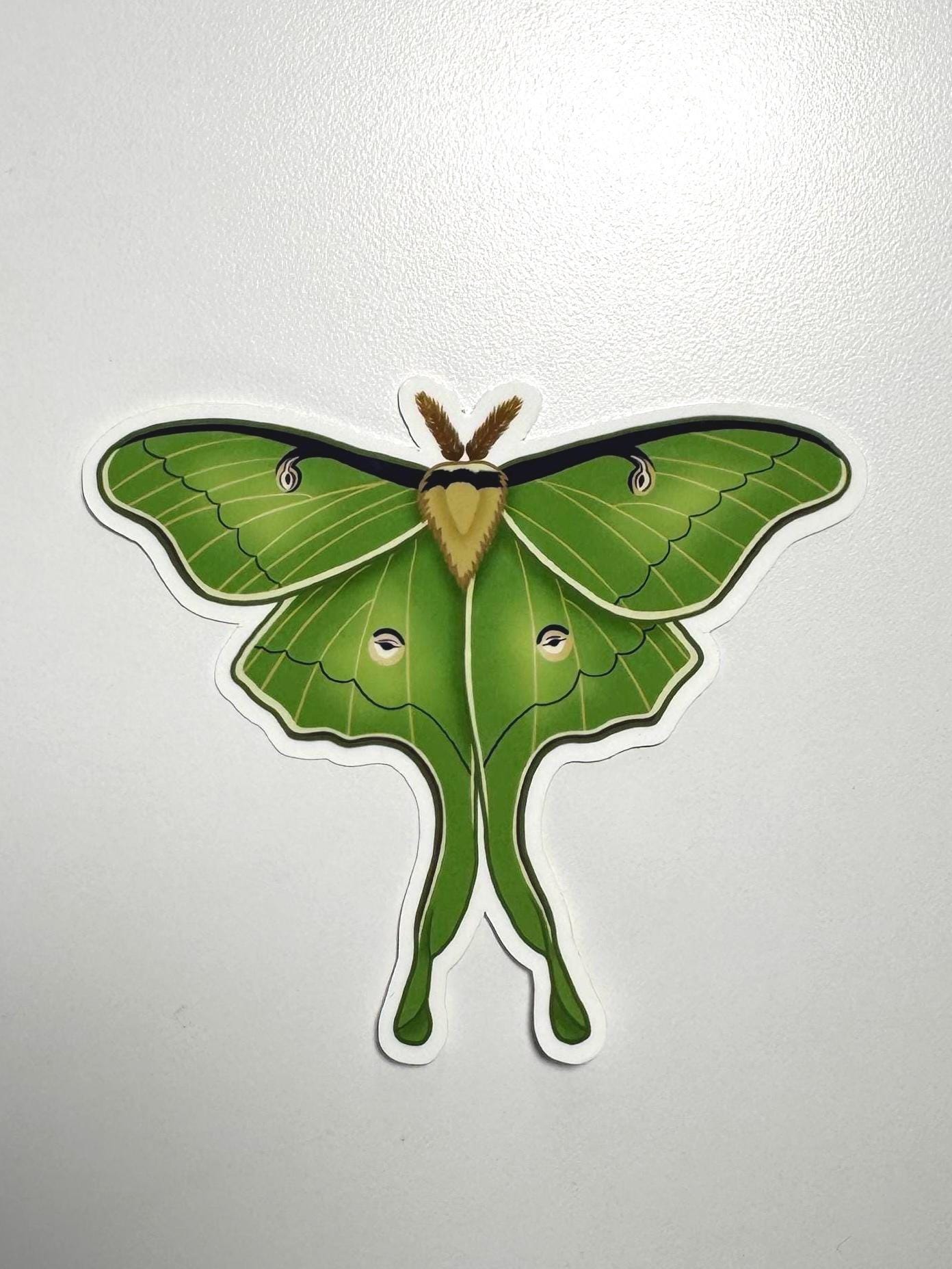 Luna Moth Sticker