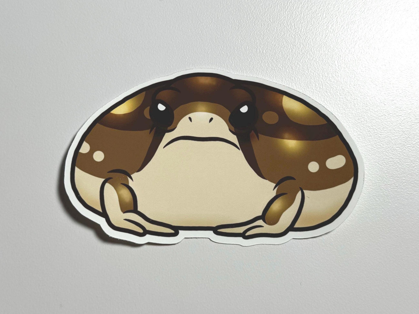 Desert Rain Frog Sticker