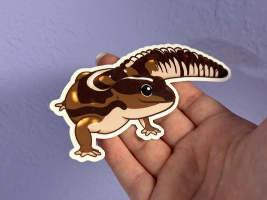 African Fat-Tailed Gecko Sticker