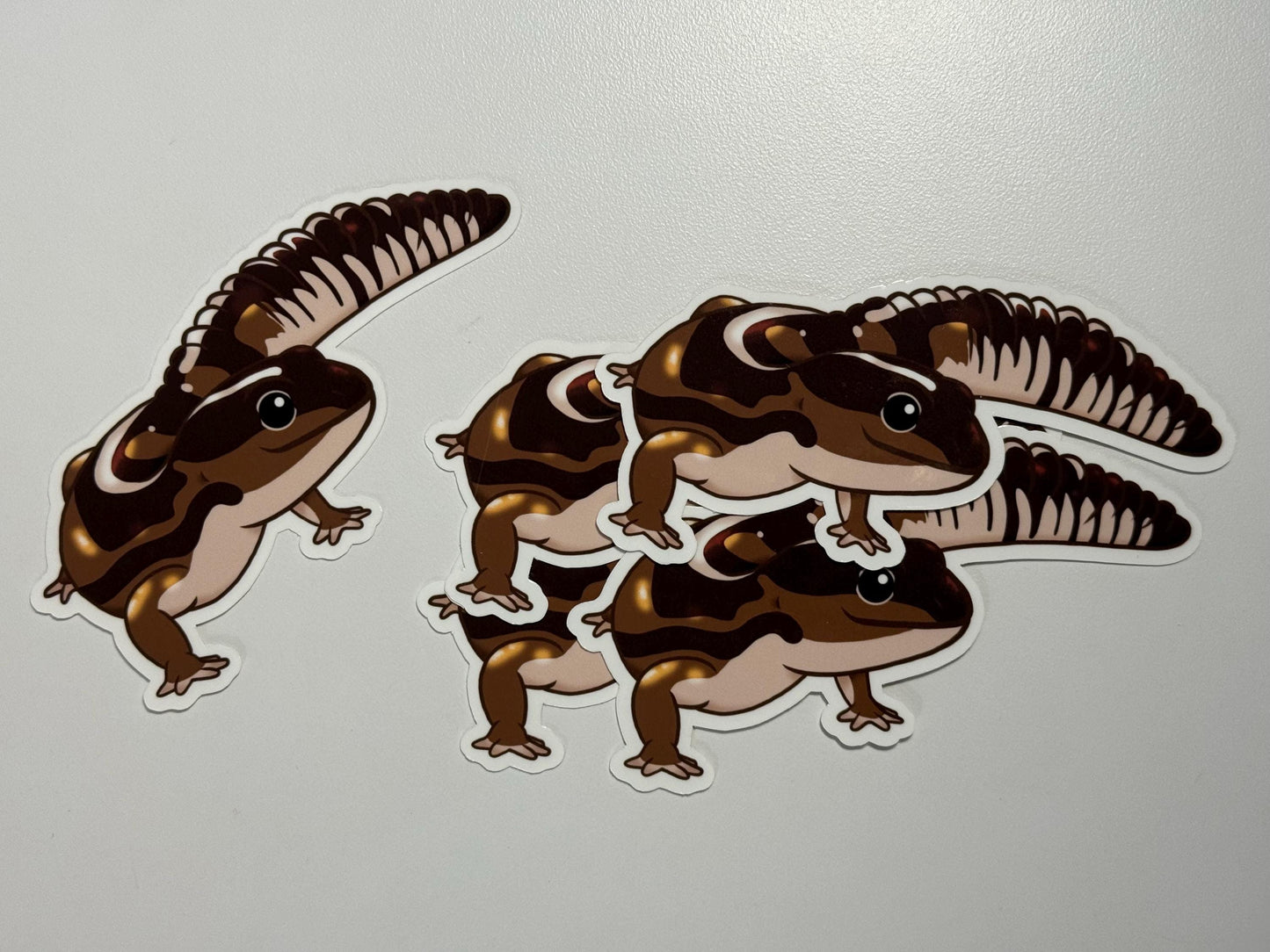 African Fat-Tailed Gecko Sticker