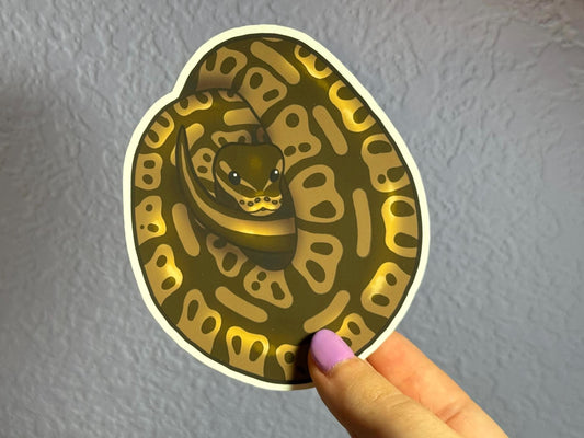 Ball Python Sticker
