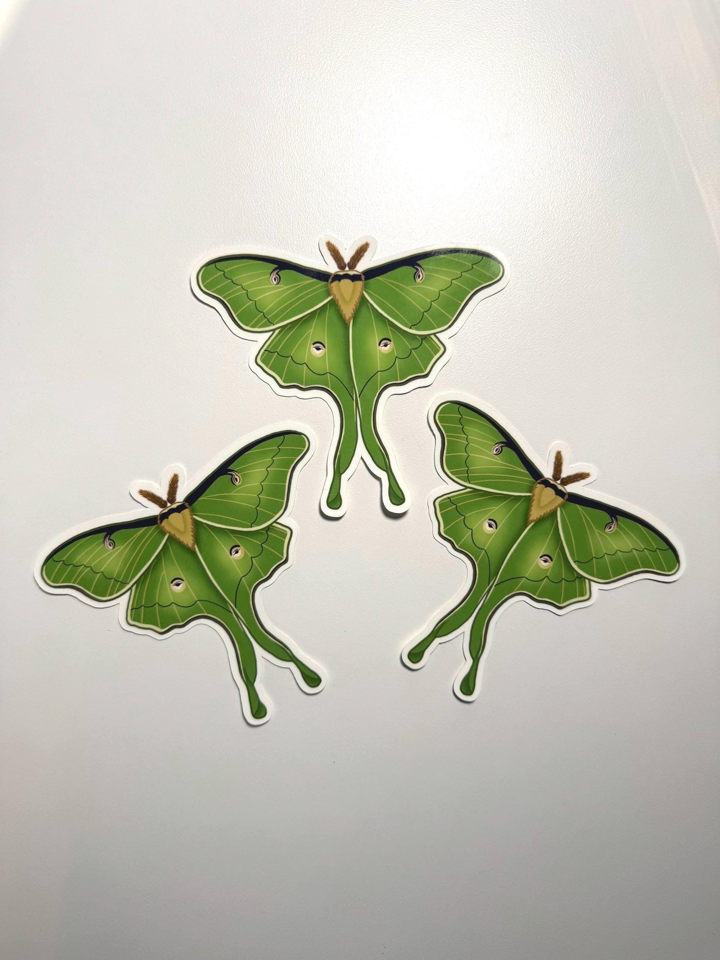 Luna Moth Sticker