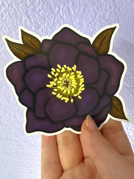 Black Hellebore Sticker